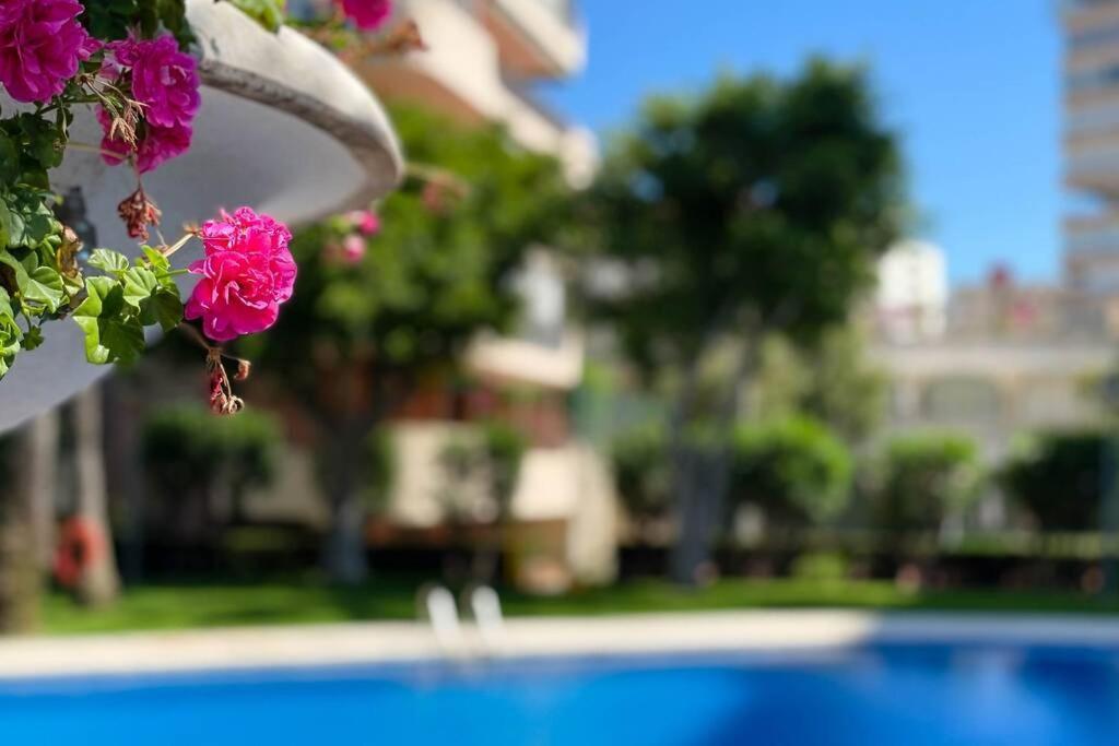 Encantador Y Coqueto Loft A 8 Min. De La Playa. Αλικάντε Εξωτερικό φωτογραφία