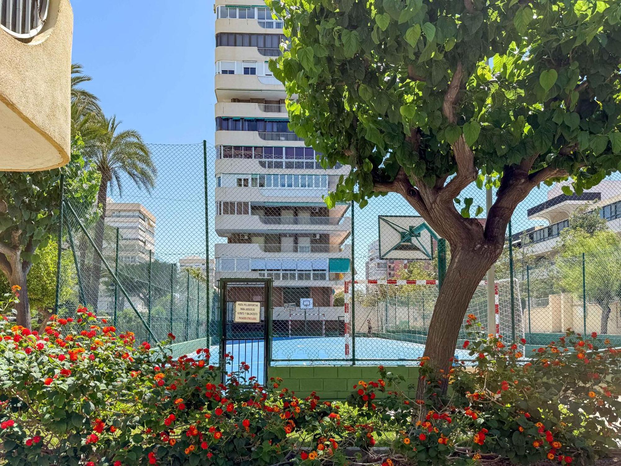 Encantador Y Coqueto Loft A 8 Min. De La Playa. Αλικάντε Εξωτερικό φωτογραφία